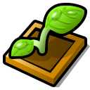 misc - sprout